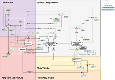 Targeting Myeloid Cells in Combination Treatments for Glioma and Other Tumors